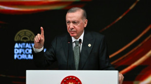 Erdogan says efforts to end Ukraine war at 'turning point'