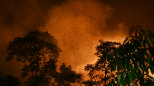 Nepal battles raging wildfires across the country