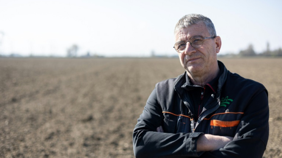 "Je ne peux pas produire &agrave; ce prix-l&agrave;": le plus gros mara&icirc;cher du Grand Est cesse sa production