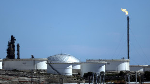 Il petrolio &egrave; in calo a New York a 91,23 dollari