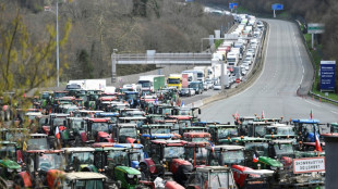 Agricultores franceses e espanhóis bloqueiam fronteira para 'ter peso' nas eleições europeias