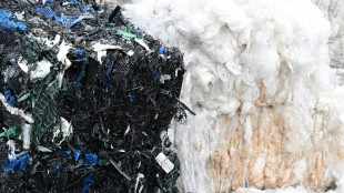 Immer weniger Müll - Abfallaufkommen seit 2018 rückläufig