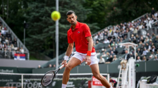 'I'm worried', admits Djokovic as French Open build-up suffers new setback