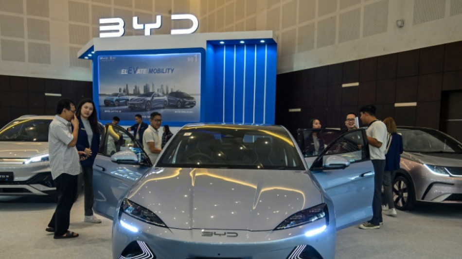 Auto-Experte Dudenh&ouml;fer warnt vor EU-Z&ouml;llen auf chinesische E-Autos