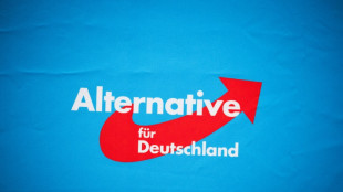 AfD-Bewerber Kaufmann scheitert erneut bei Abstimmung über Bundestags-Vizeposten