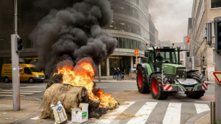 Ukraine: Zähe Verhandlungen über Beschränkungen für zollfreie Agrarimporte