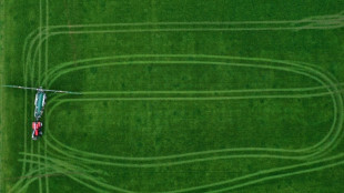 Bitkom-Studie: Digitalisierung kann viel CO2 einsparen