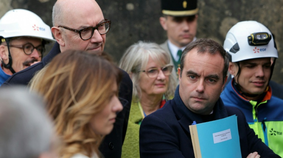 Francia apuesta por el sector nuclear para salir de las energ&iacute;as f&oacute;siles