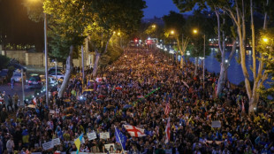 Thousands rally in Tbilisi against 'foreign influence' bill: AFP 