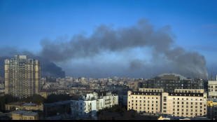 Ft, 'Pentagono rallenta spedizioni, rischi difesa aerea Kiev'