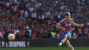 Angleterre: Crystal Palace remporte le Community Shield face &agrave; Liverpool