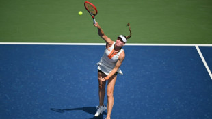 Controversial coach boosting Rybakina at US Open