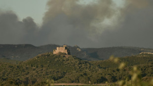 Narbonne: 2.000 hectares parcourus par l'incendie, l'A9 toujours ferm&eacute;e