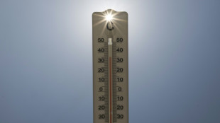 Cientistas alertam Fifa sobre risco de calor extremo na Copa do Mundo de 2026