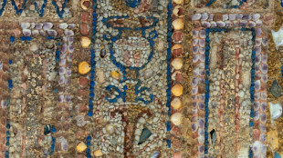 Encontrada em Roma luxuosa 'domus' com mosaico 'incomparável'