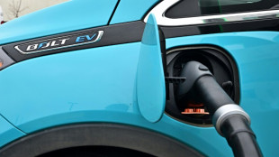 AIE: mercado mundial de carros elétricos registra forte crescimento