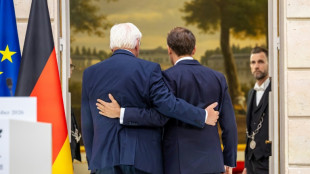 Steinmeier bei Staatsbesuch in Paris: "Deutsche bleiben gute Europ&auml;er"