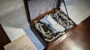 L'IA utilis&eacute;e pour d&eacute;chiffrer des rouleaux carbonis&eacute;s par l'&eacute;ruption du V&eacute;suve