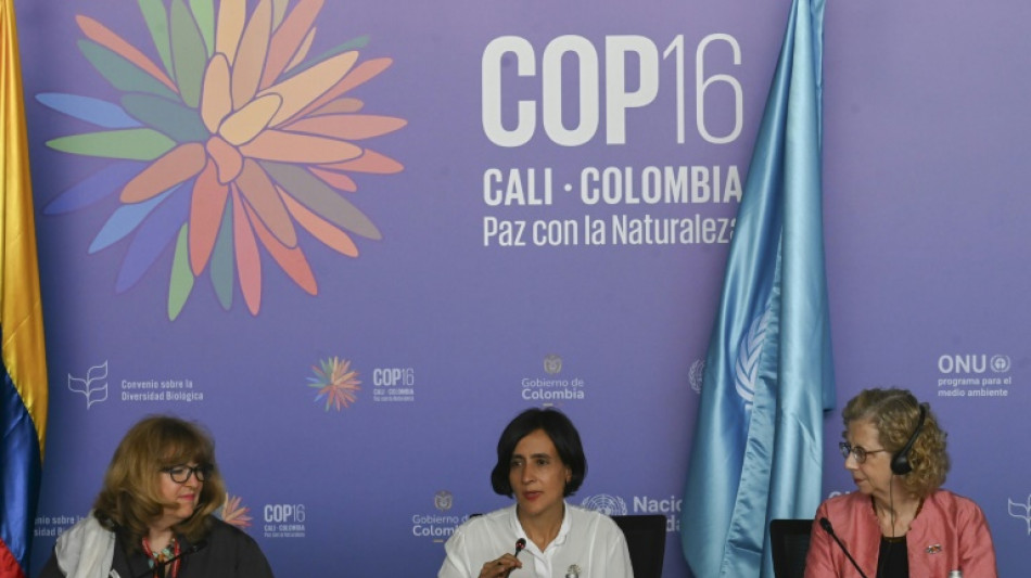 COP16 faz 'grandes progressos', diz ministra do Ambiente da Col&ocirc;mbia