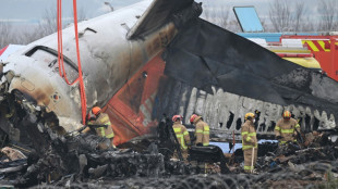 Coreia do Sul investiga se muro com o qual avi&atilde;o da Jeju Air colidiu respeitava as normas