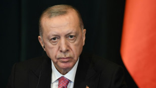 Erdogan entlässt nach Streit um Inflationsrate Leiter der Statistikbehörde