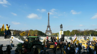 Agricultores protestan en Par&iacute;s contra el acuerdo UE-Mercosur