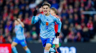 Schottland, Spanien und T&uuml;rkei kommen zur Fu&szlig;ball-EM 