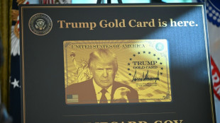 Trump cria 'Gold Card', um visto de resid&ecirc;ncia de US$ 1 milh&atilde;o