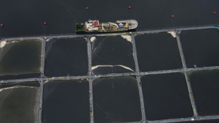 Chile rechaza entregar mar explotado por salmoneras a comunidades ind&iacute;genas