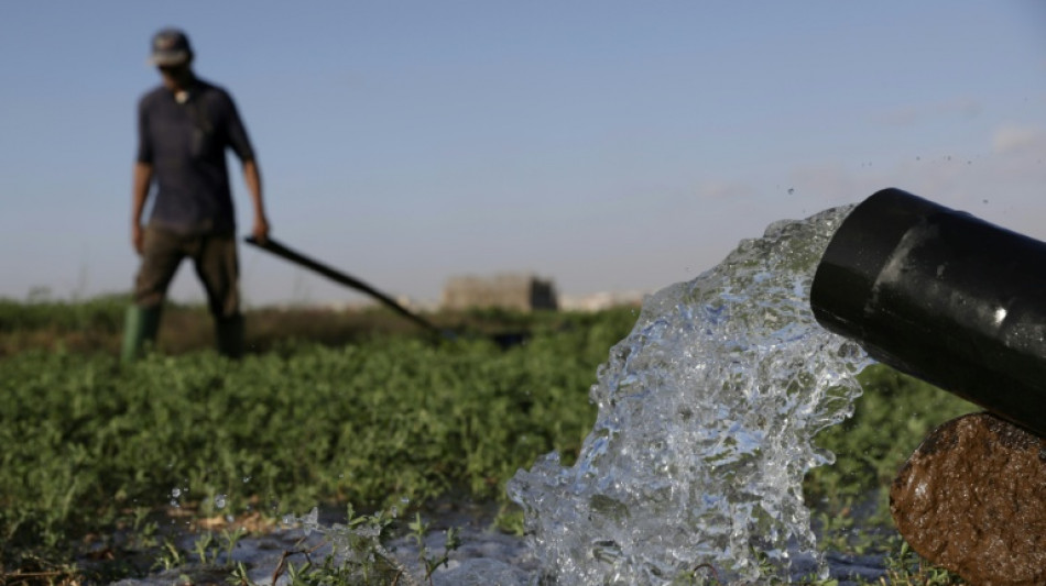 L'eau dessal&eacute;e au secours de l'agriculture dans le sud du Maroc