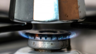 Netzagentur: Unternehmen und Haushalte sparten zu Jahresbeginn ordentlich Gas