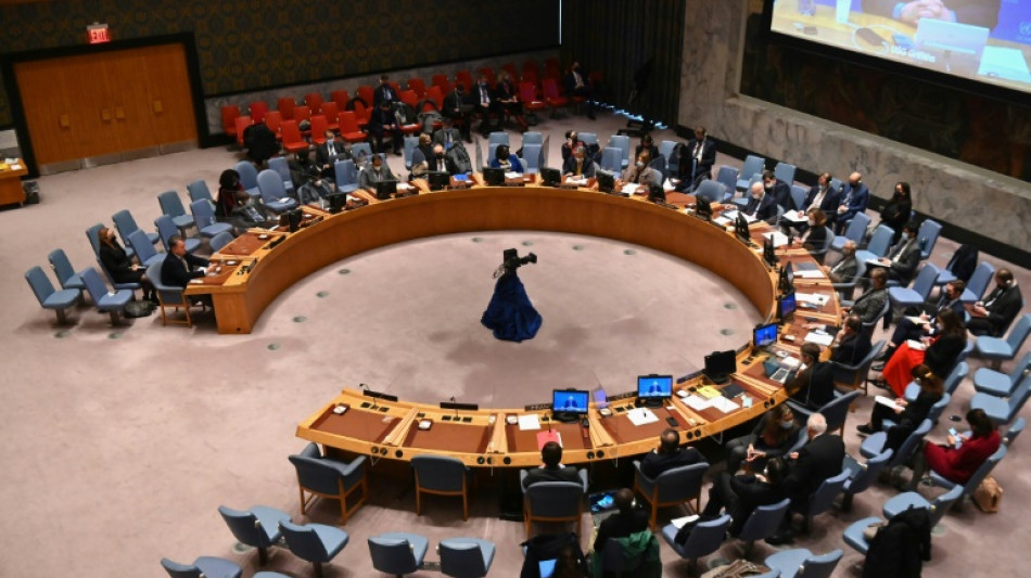 Consejo de Seguridad se reúne el viernes sobre armas químicas en Ucrania
