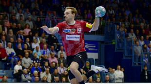 Klub-WM: F&uuml;chse und SCM im Finale