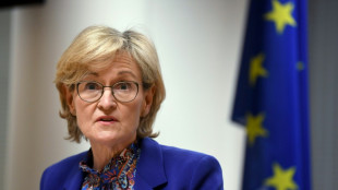 EU-Kommission beschließt "Klima-Siegel" für Atomenergie und Gas