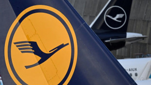 Weitere Lufthansa-Streiks abgewendet - Linke macht Airline f&uuml;r bisherige verantwortlich