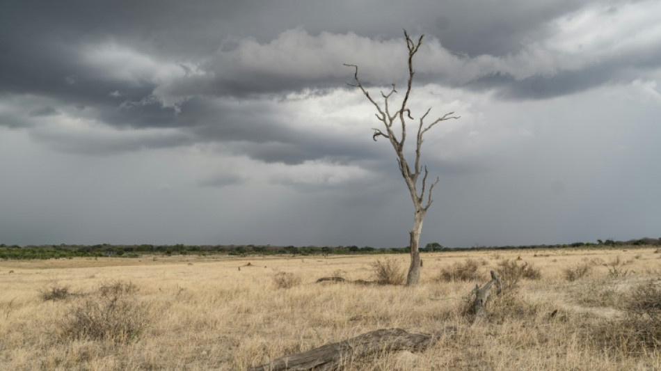 Simbabwe verhängt wegen Dürre nationalen Katastrophenzustand 