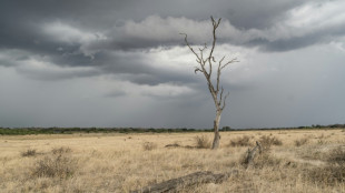 Simbabwe verhängt wegen Dürre nationalen Katastrophenzustand 