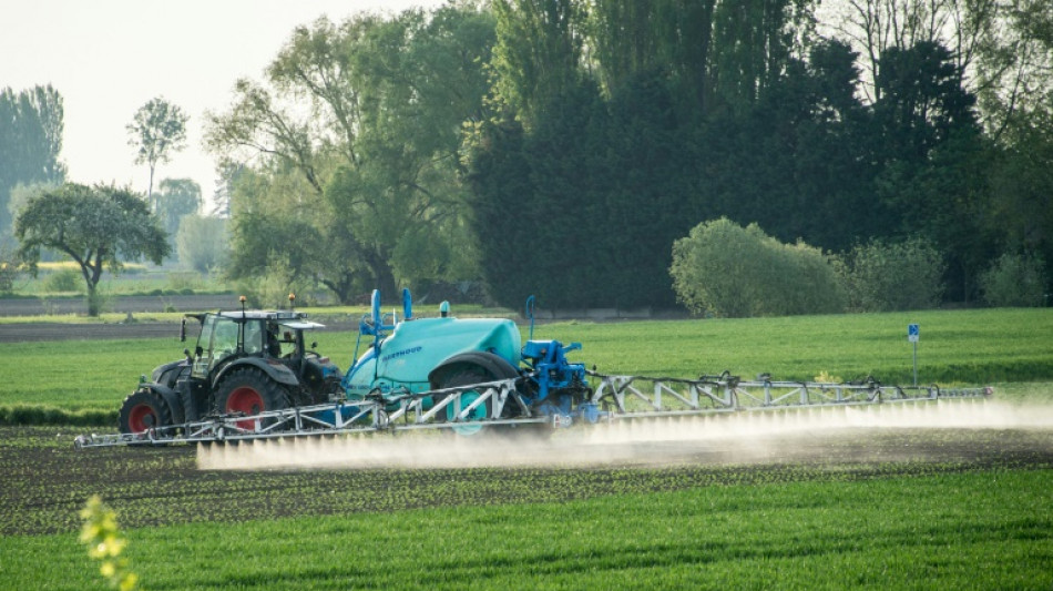 Pesticides: un rapport souligne la r&eacute;alit&eacute; de la contamination de l'environnement