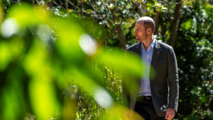 Prinz William: Zweifache Krebsdiagnose im K&ouml;nigshaus war "brutal"