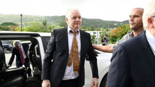 Wikileaks-Gr&uuml;nder Assange zu Gerichtstermin in US-Territorium gelandet