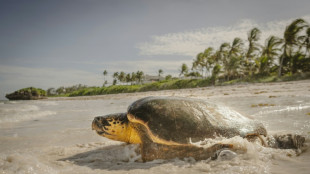 Dirigentes mundiales se reúnen en Niza para abordar las amenazas sobre los océanos