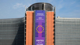 18 EU-Staaten beantragen Verteidigungs-Kredite von 127 Milliarden Euro