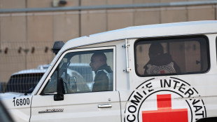 Croce Rossa, operatore ucciso a Gaza, &egrave; il quinto