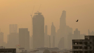 Thaïlande: plus de dix millions de personnes affectées par la pollution de l'air en 2023