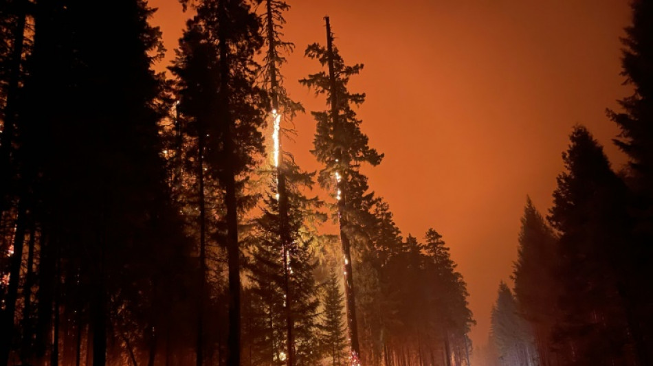 Un gran incendio forestal continúa su avance en Oregon, EEUU