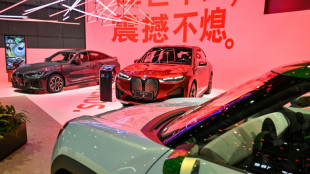 BMW says EU probe into China EV subsidies against free trade