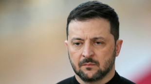 Selenskyj zu Treffen mit Erdogan in Istanbul eingetroffen