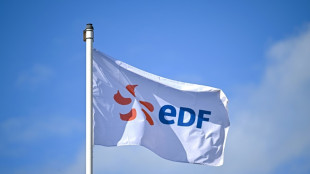 Nouveaux r&eacute;acteurs d'EDF: l'UE ouvre une enqu&ecirc;te sur les aides de l'Etat fran&ccedil;ais