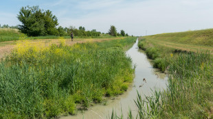 Pianura Padana, l'irrigazione intensiva aiuta le falde acquifere