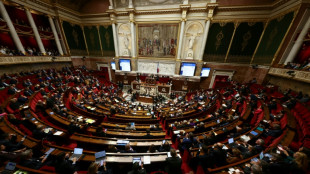 Loi immigration: les d&eacute;put&eacute;s lancent les d&eacute;bats et font leurs premi&egrave;res retouches